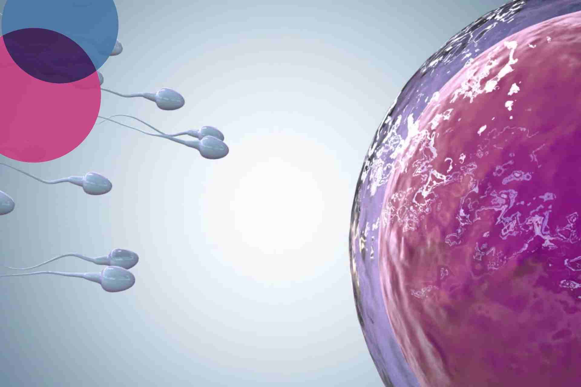 ‘The Harley Street Fertility Clinic’s A to Z of Fertility’